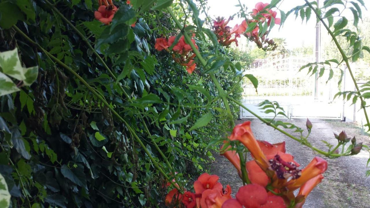 Ma Maison Familiale Portesienne Portets Dış mekan fotoğraf